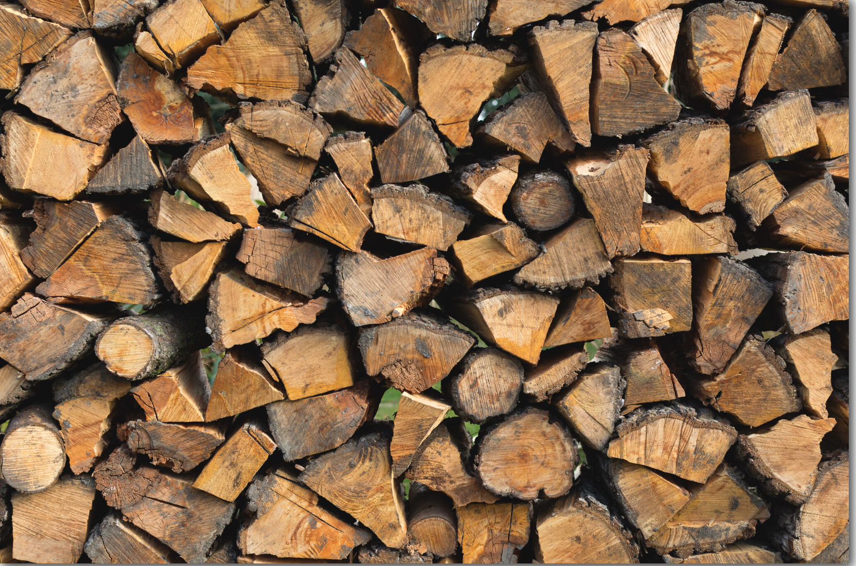 Oak Firewood Bundles